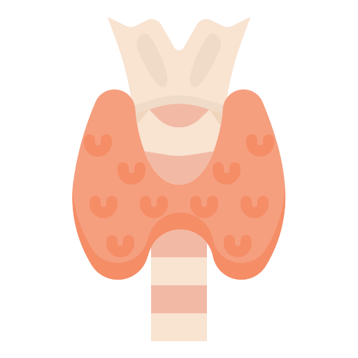 category